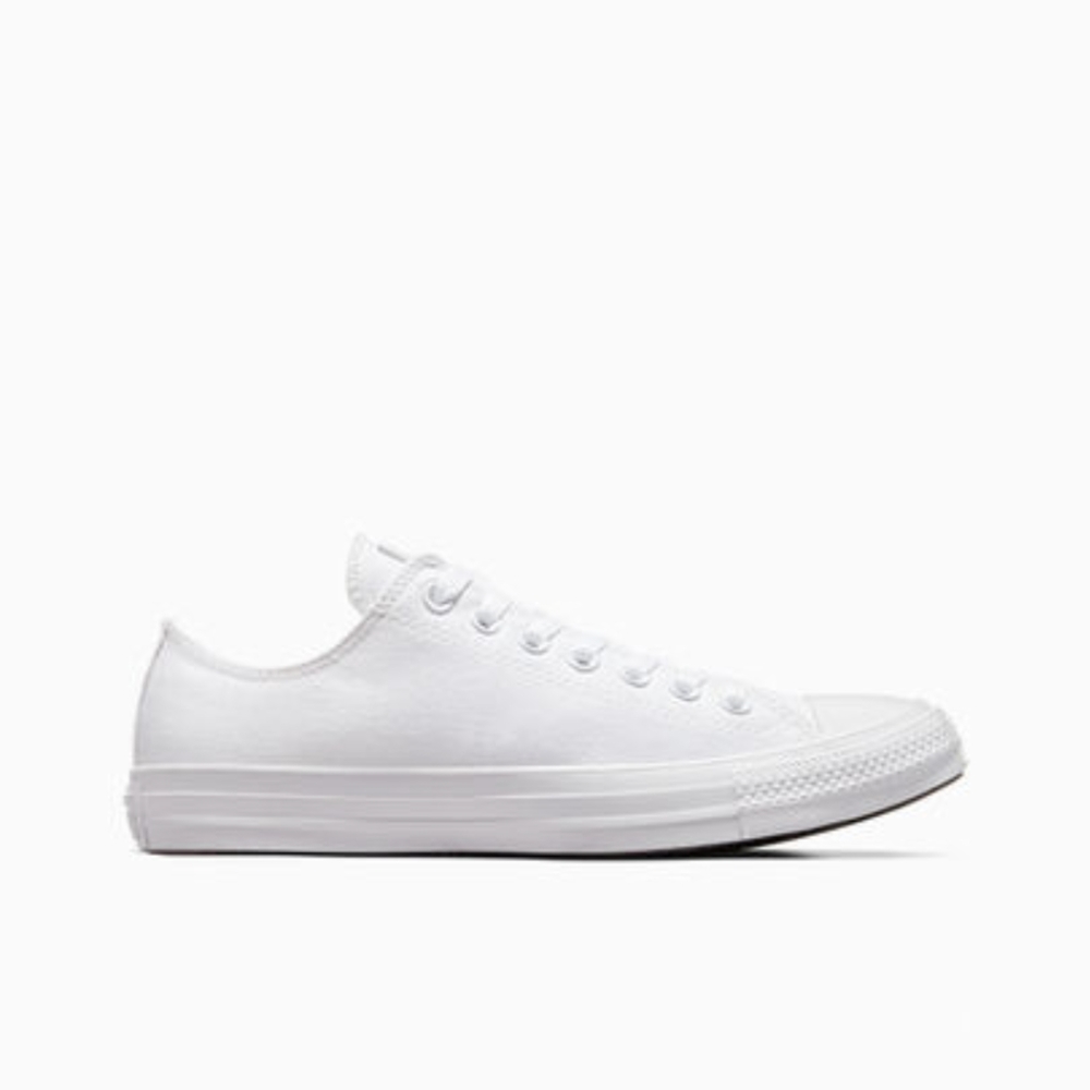 NWT in box all white low top converse Women's size 5